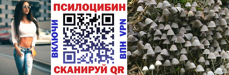 Галлюциногенные грибы Psilocybine cubensis  Дальнереченск 